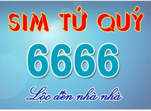Sim tứ quý bộ 6666
