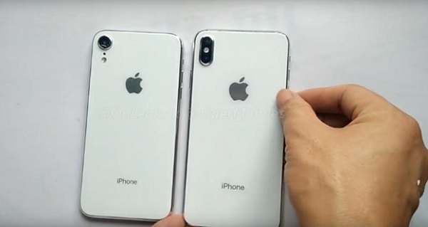 iPhone X bản LCD sẽ có kích thước màn hình 6,1 inch nên kích cỡ nằm giữa iPhone X hiện nay và iPhone X Plus mới