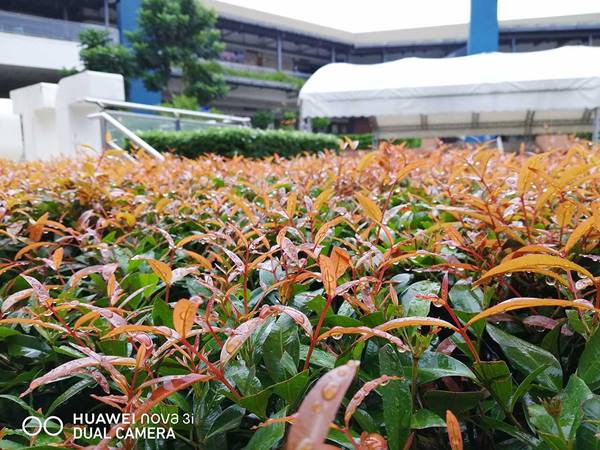Đánh giá - huawei